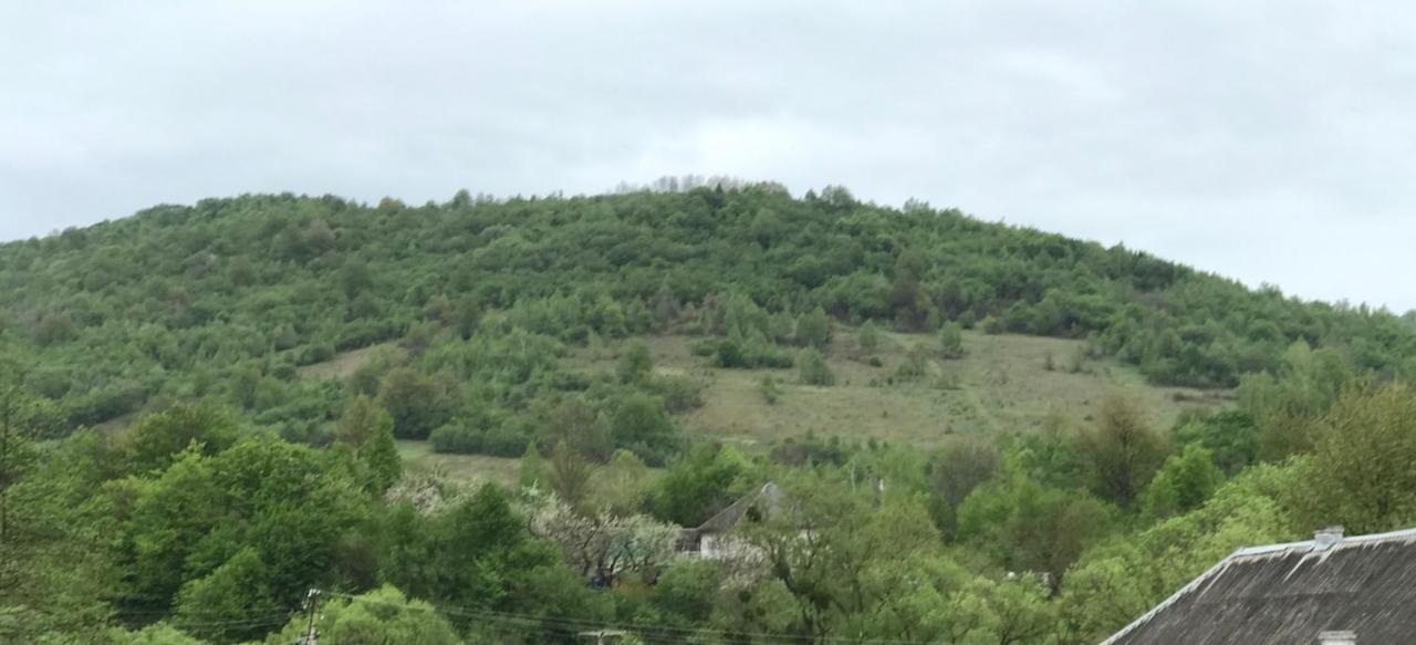 квітковий двір Летний дом Golubinoye